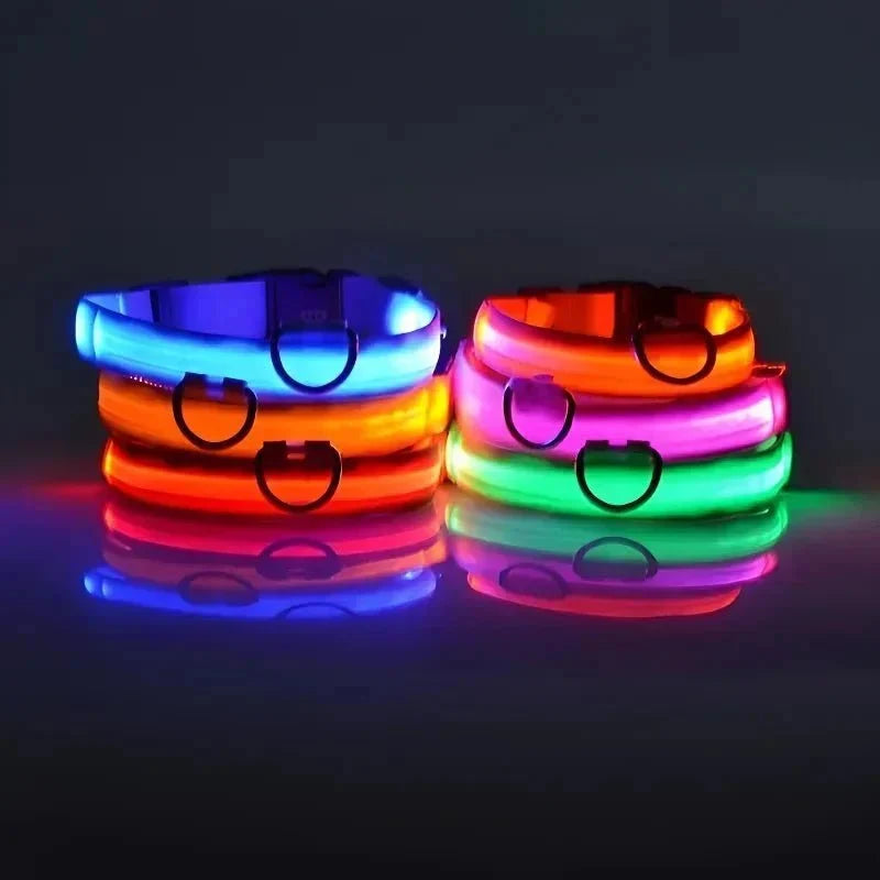 LED Collar for Dogs