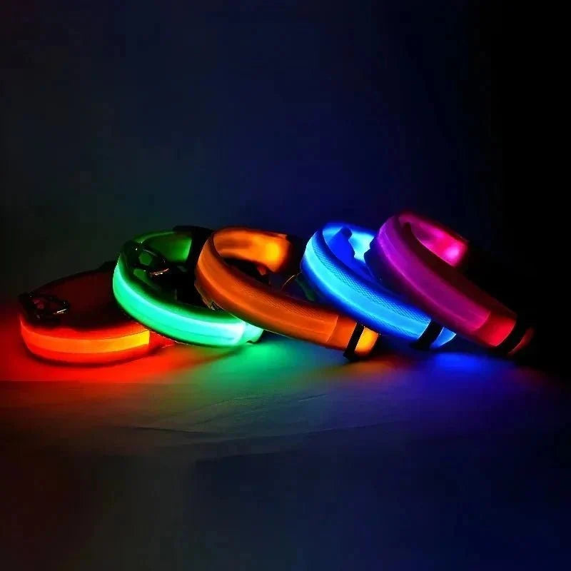 LED Collar for Dogs