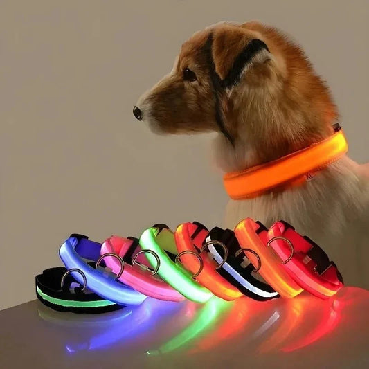 LED Collar for Dogs