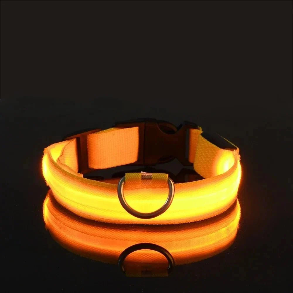 LED Collar for Dogs