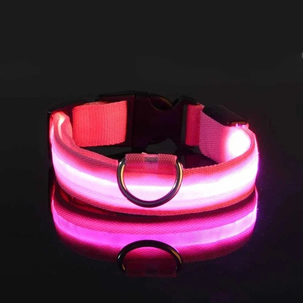 LED Collar for Dogs