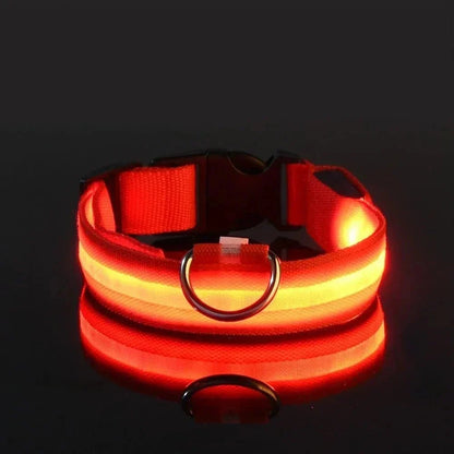 LED Collar for Dogs