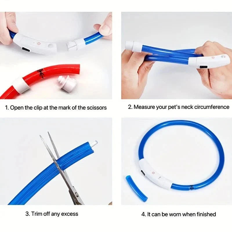 LED Collar Rechargeable