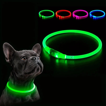 LED Collar Rechargeable