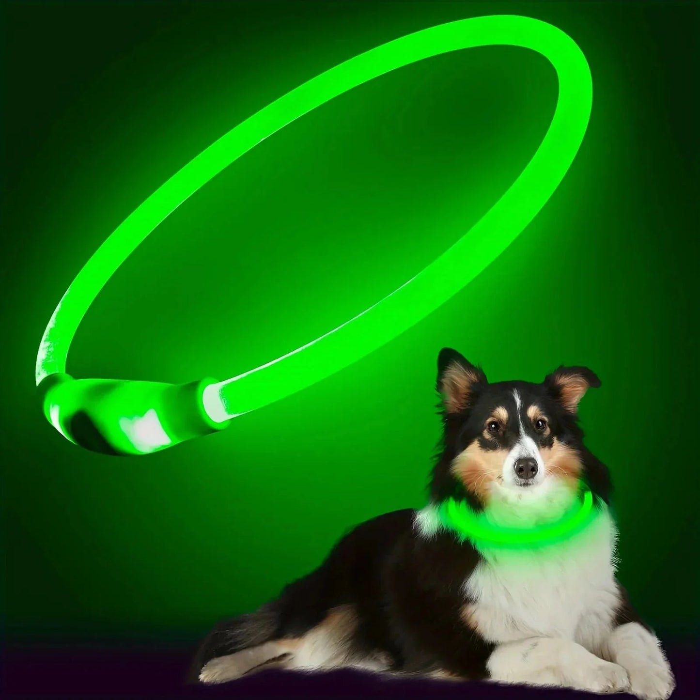 LED Collar Rechargeable