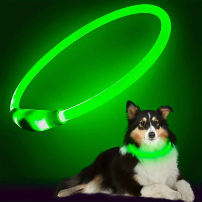 LED Collar Rechargeable