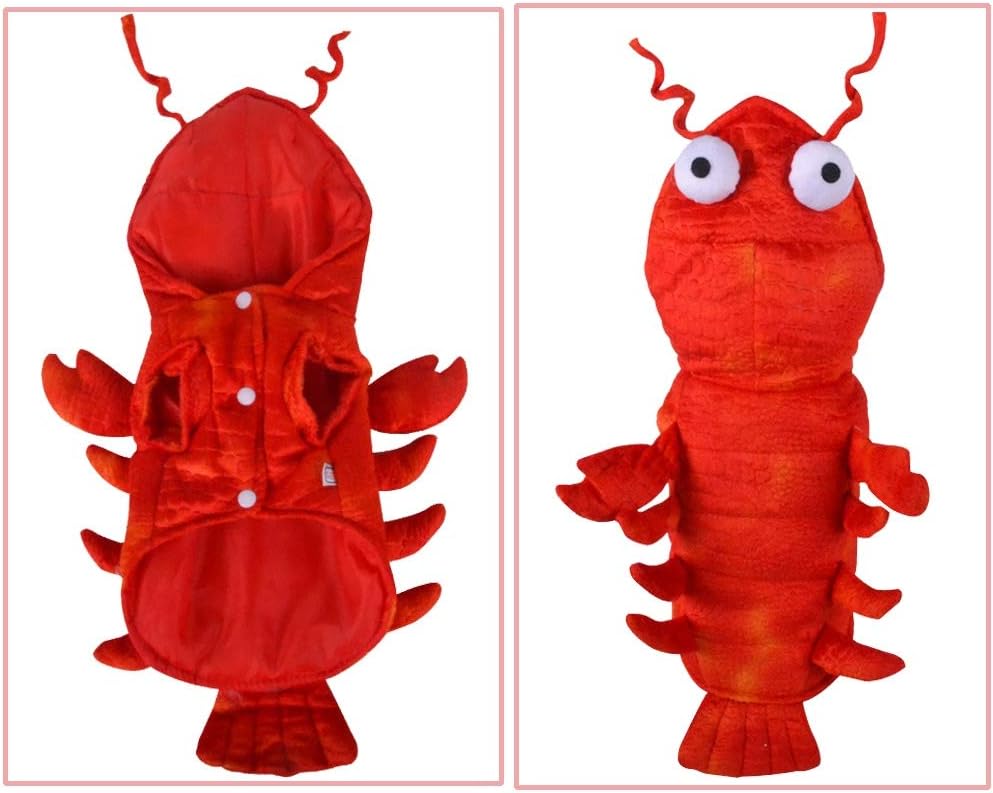 Lobster Costume
