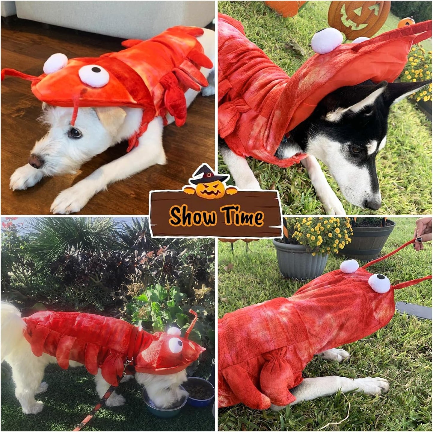 Lobster Costume