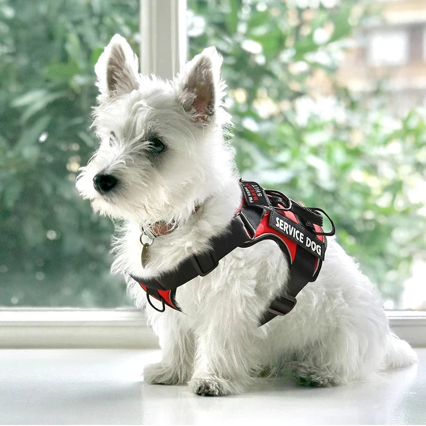 No Pull Reflective Tactical Vest Style Dog Harness For Outdoor Training Walking