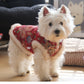New year vest