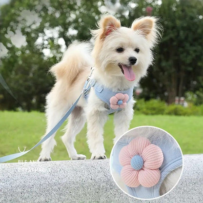 No Pull Adjustable Vest Harness and Leash Set