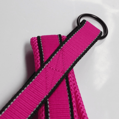 Nylon Dog Harness