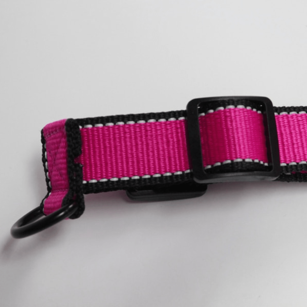 Nylon Dog Harness