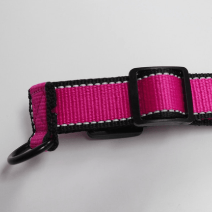 Nylon Dog Harness