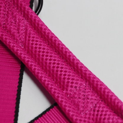 Nylon Dog Harness