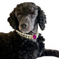 Pearl Collar Luxury Bling Crystal Jewelry