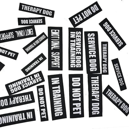 Personalized Velcro Name Tag for Dog Harness