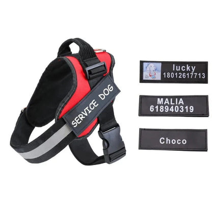 Personalized Velcro Name Tag for Dog Harness