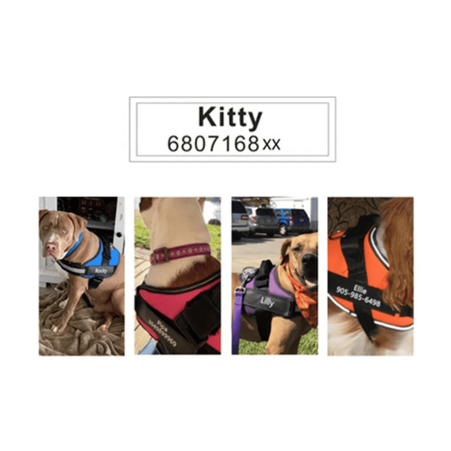 Personalized Velcro Name Tag for Dog Harness