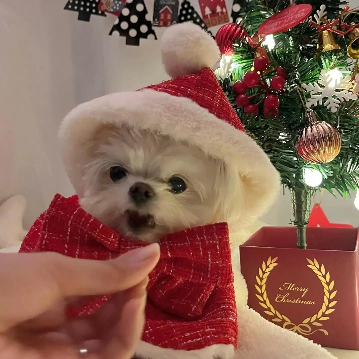 Christmas Hoodie Cape Cloak