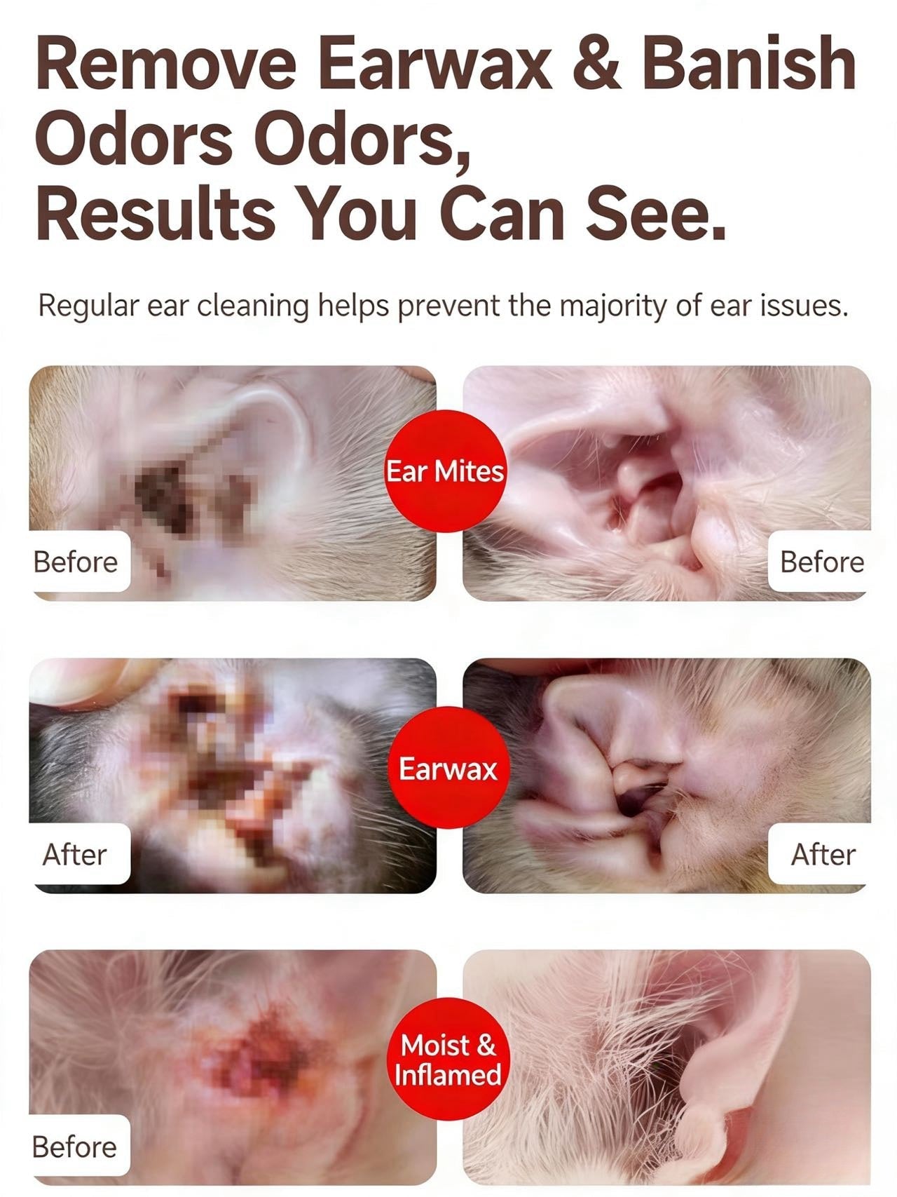 PET EYE AND EAR WIPES