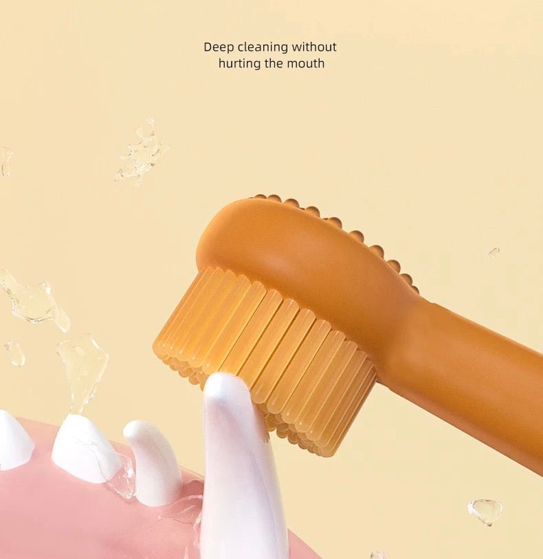 Toothbrush+ Toothpaste Set