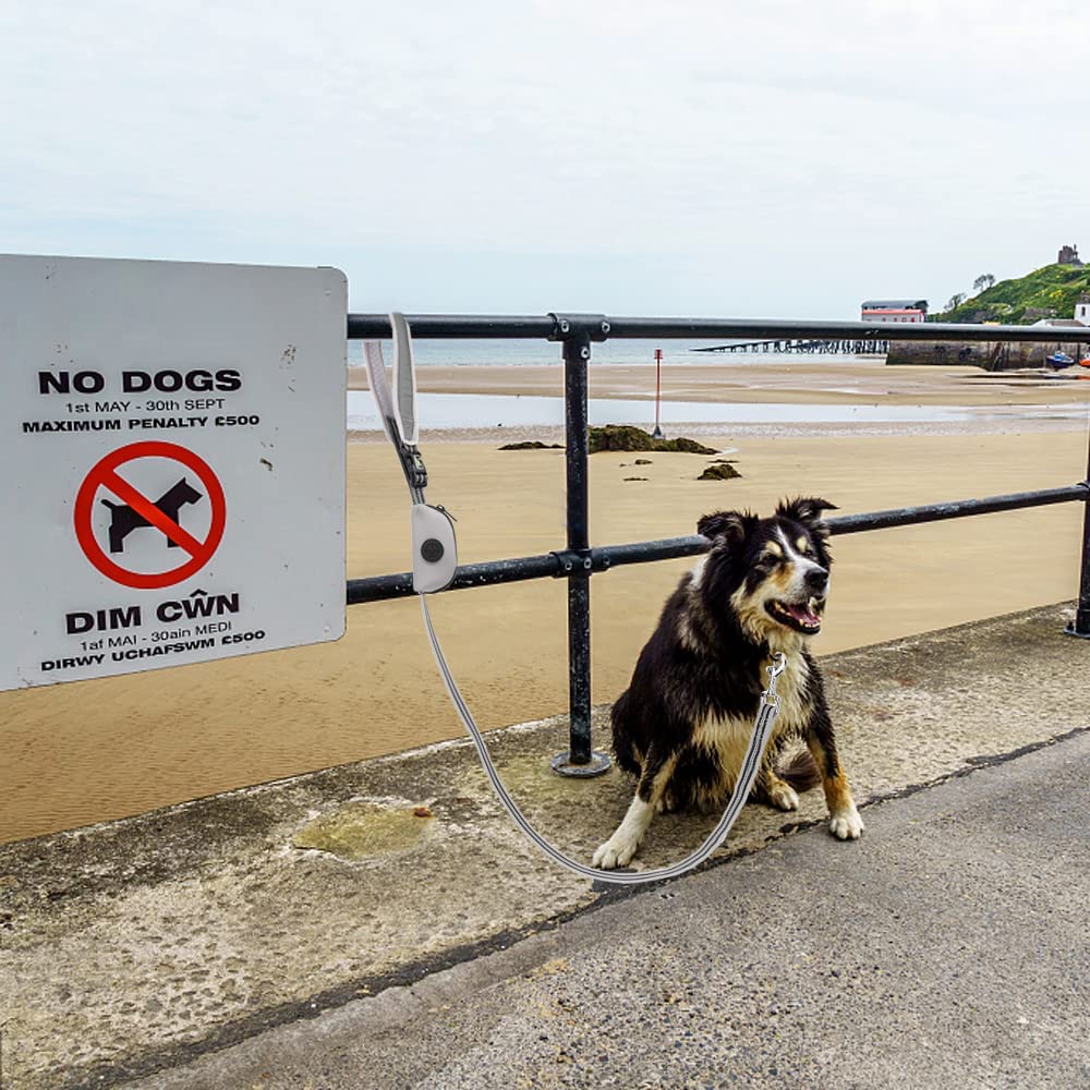 Reflective Nylon Dog Leash Durable Tracking Running Rope For Outdoor Pet Walking