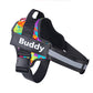 Adjustable Personalized Dog Harness Available For Dropshipping Worldwide Supply