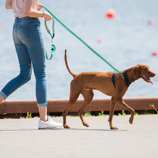 Reflective Nylon Dog Leash Durable Tracking Running Rope For Outdoor Pet Walking
