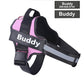 Adjustable Personalized Dog Harness Available For Dropshipping Worldwide Supply