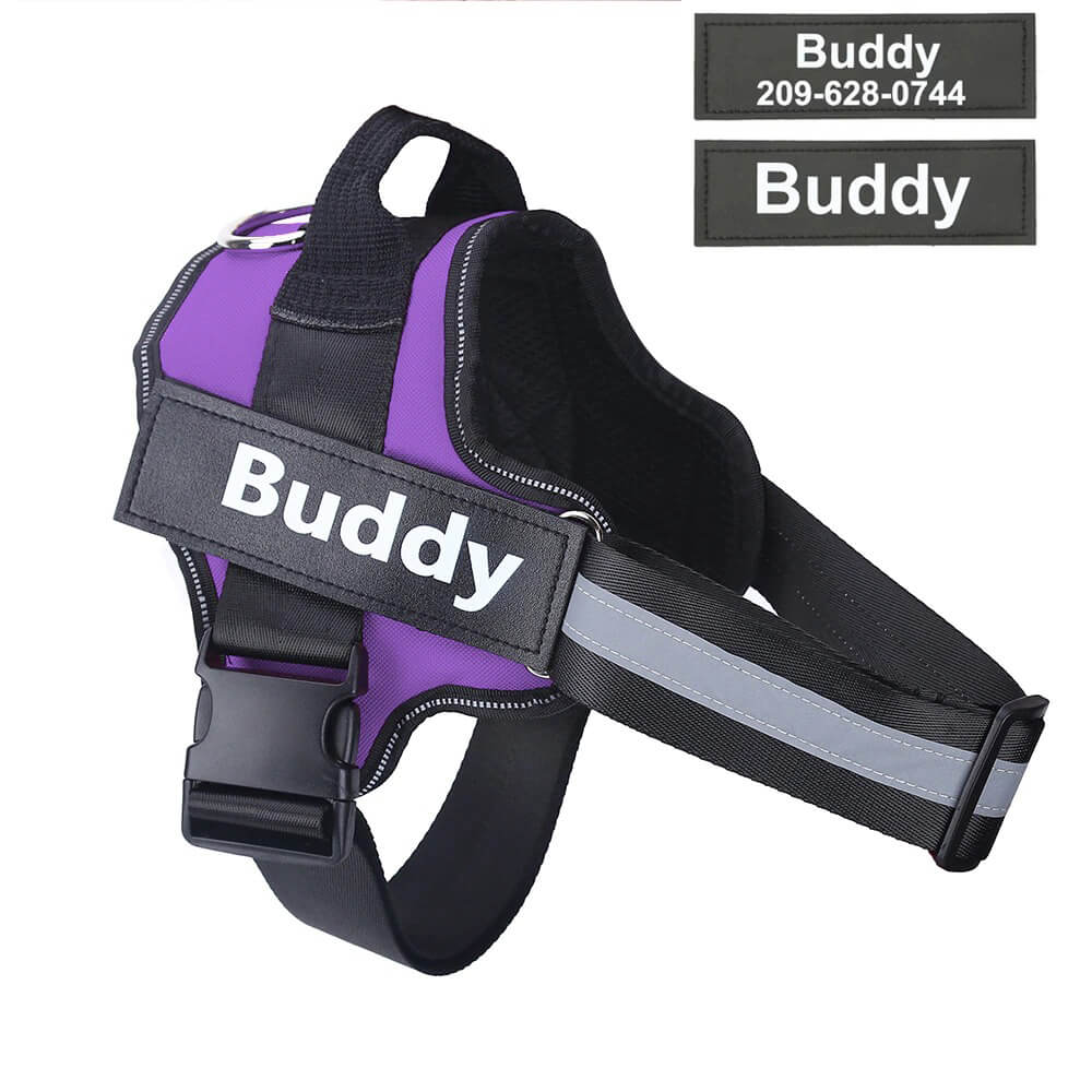 Adjustable Personalized Dog Harness Available For Dropshipping Worldwide Supply