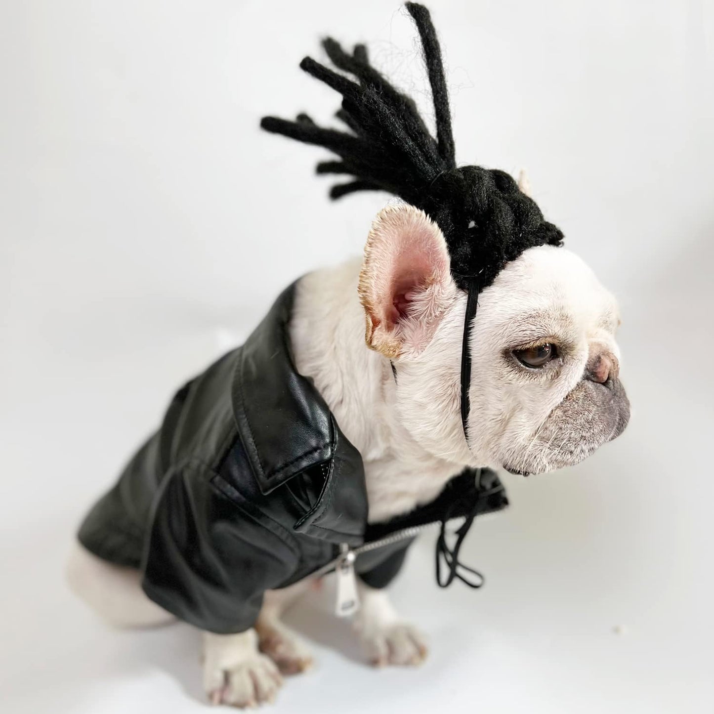 Funny Pet Wig Costume Collection