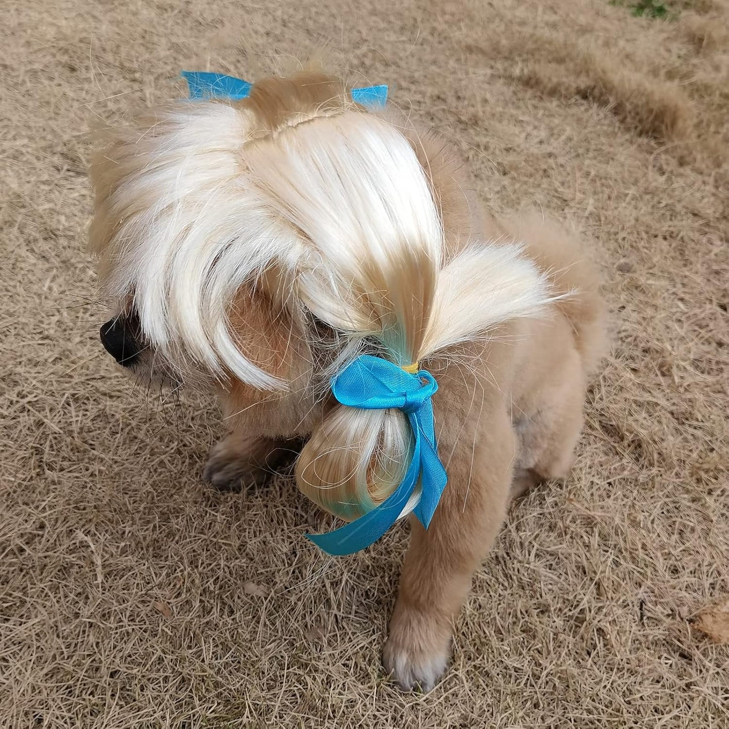 Funny Pet Wig Costume Collection