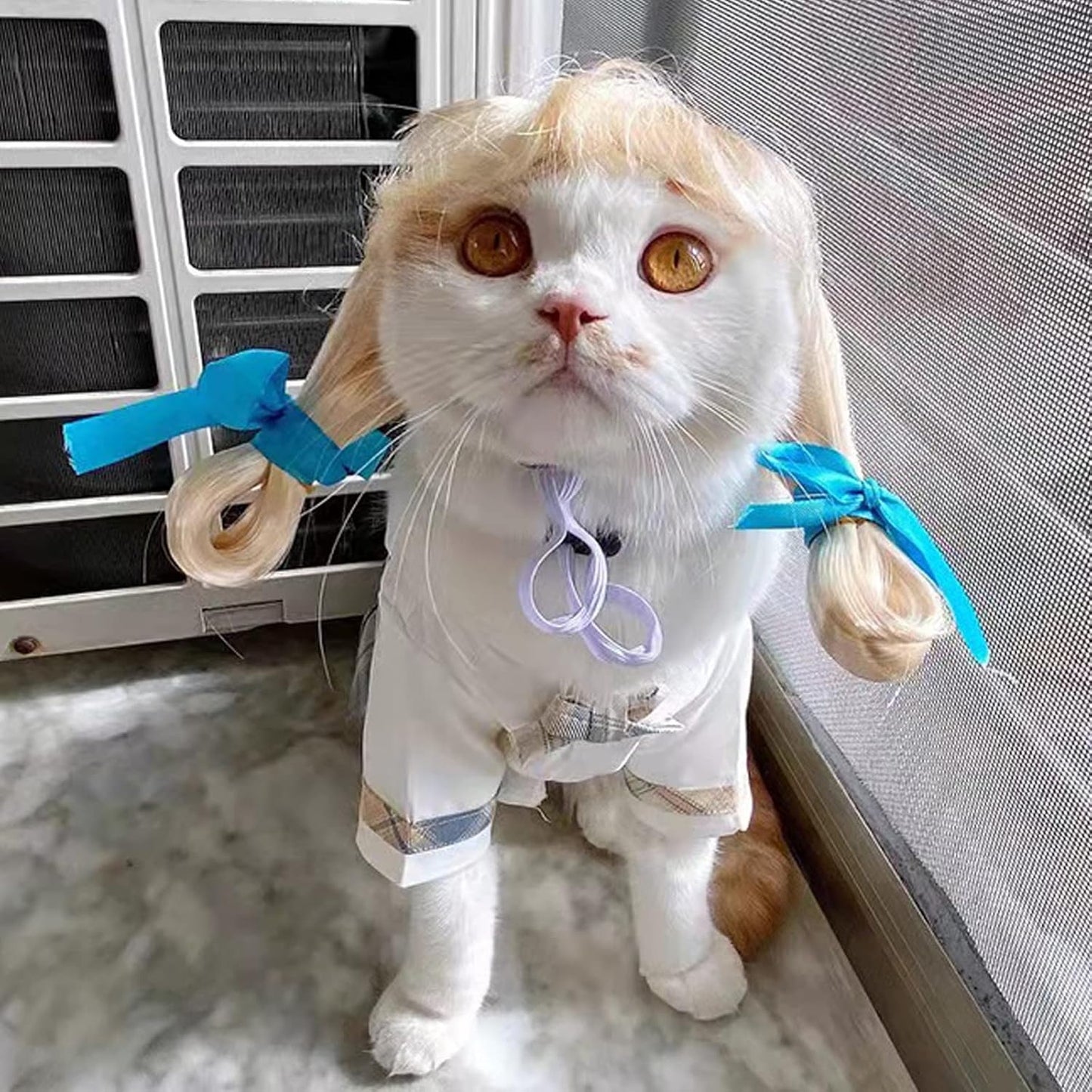 Funny Pet Wig Costume Collection