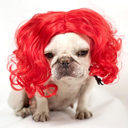 Funny Pet Wig Costume Collection