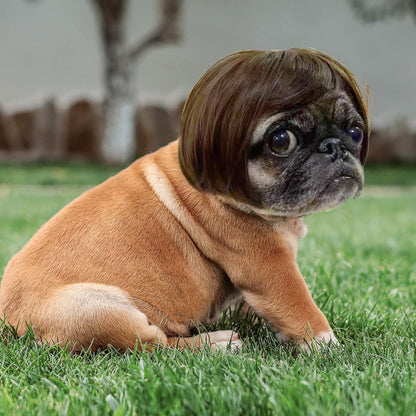 Funny Pet Wig Costume Collection