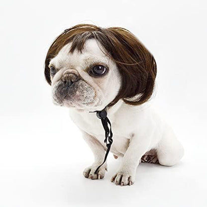 Funny Pet Wig Costume Collection