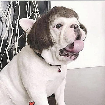 Funny Pet Wig Costume Collection
