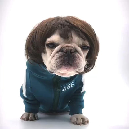 Funny Pet Wig Costume Collection