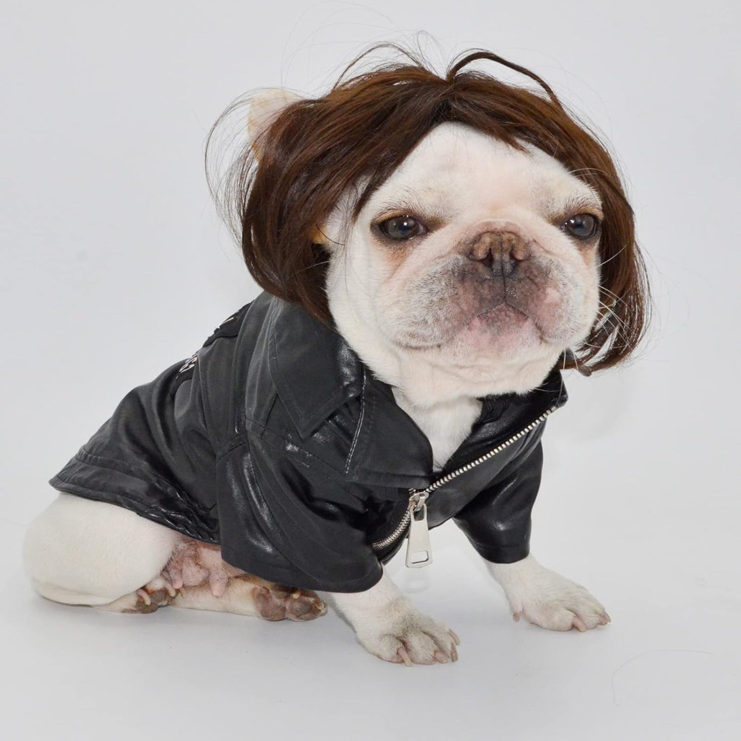 Funny Pet Wig Costume Collection
