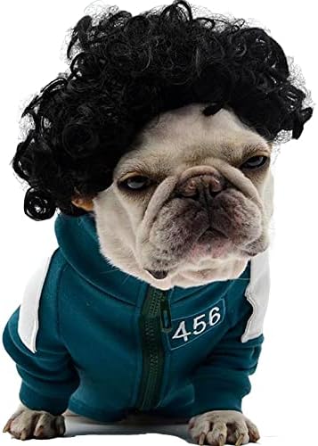 Funny Pet Wig Costume Collection