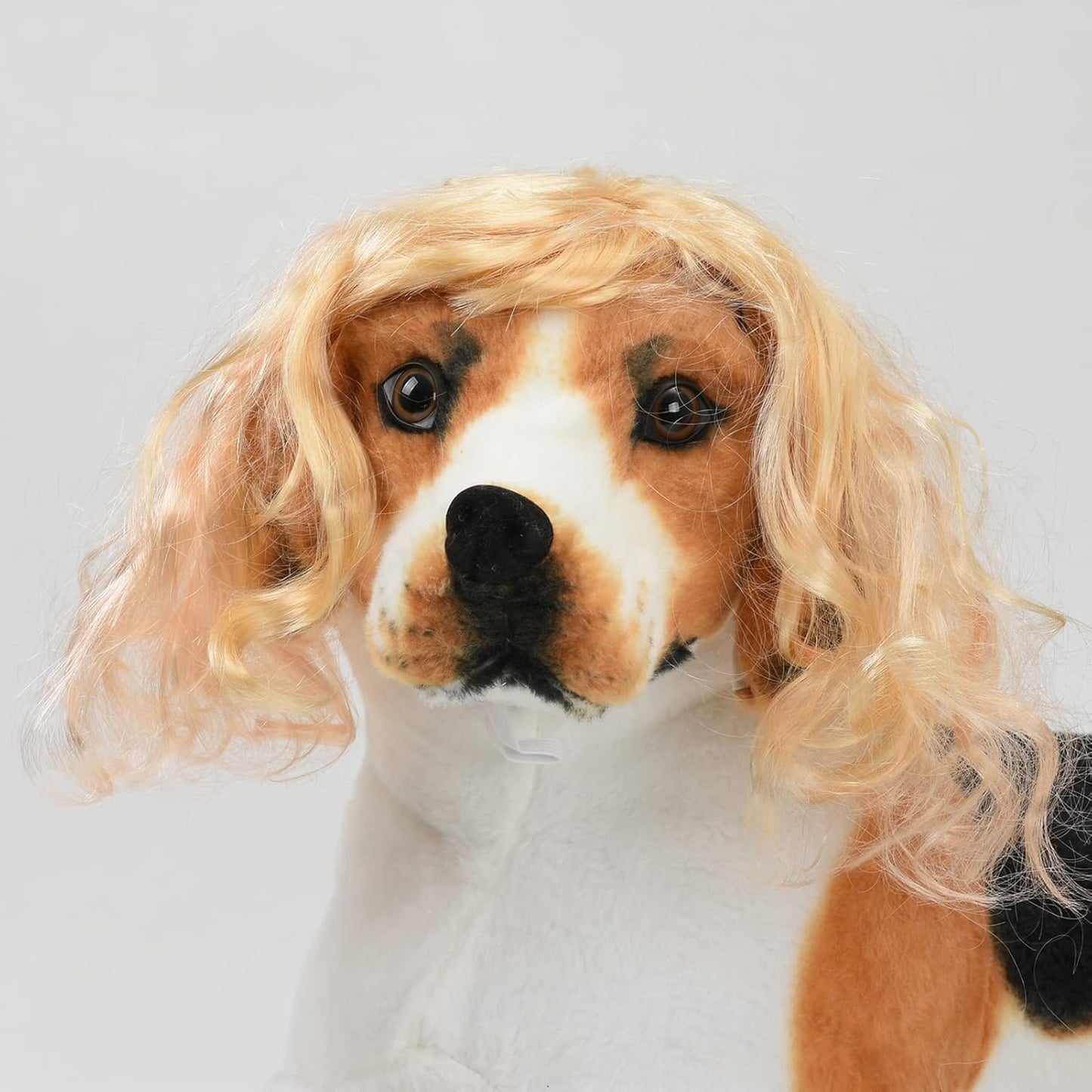 Funny Pet Wig Costume Collection