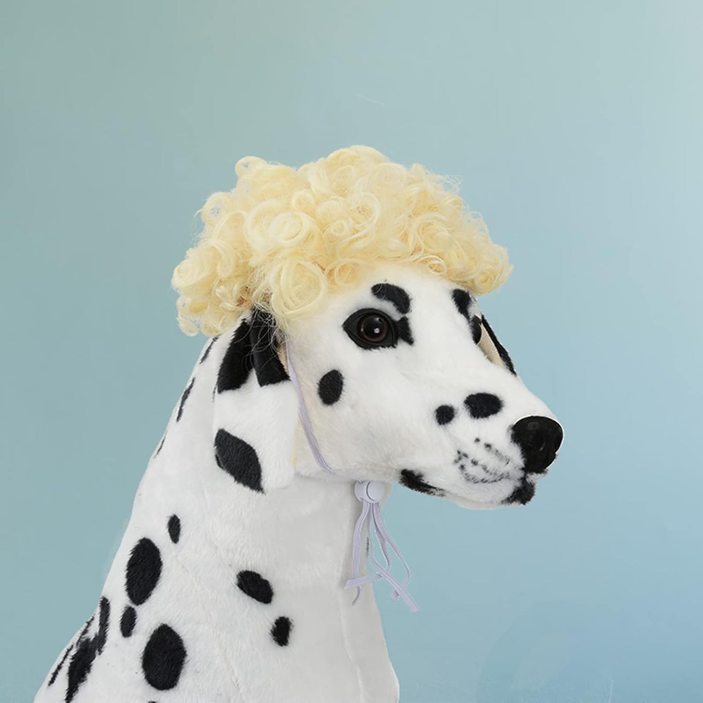 Funny Pet Wig Costume Collection