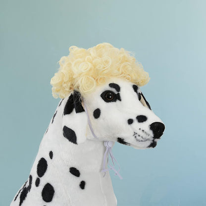 Funny Pet Wig Costume Collection