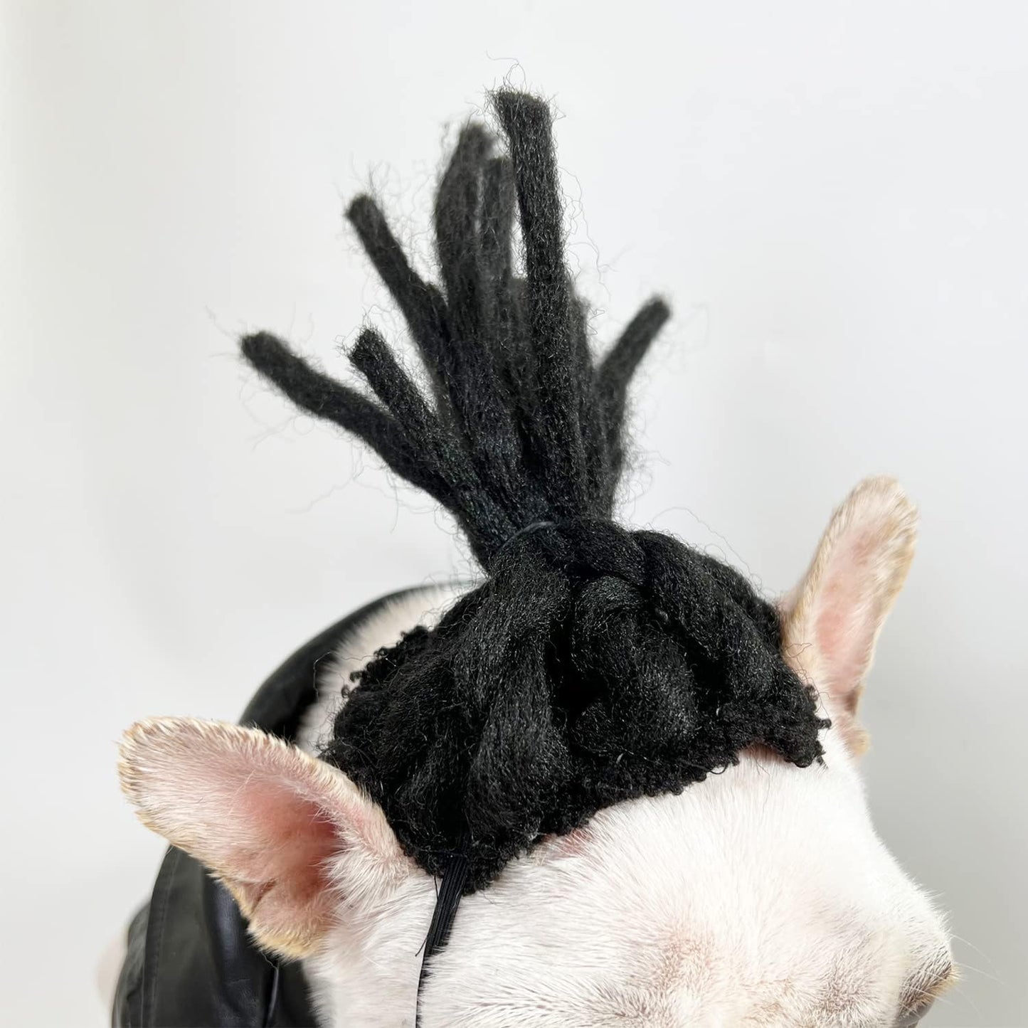 Funny Pet Wig Costume Collection