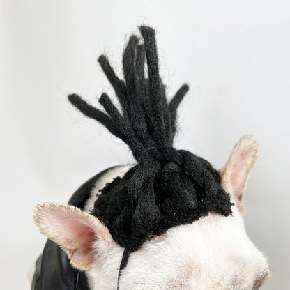Funny Pet Wig Costume Collection