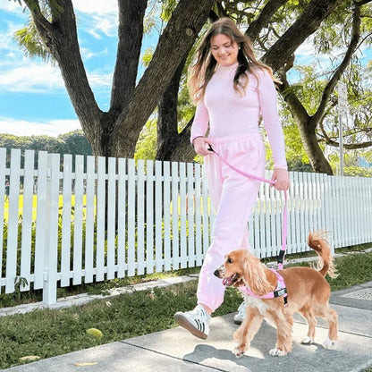 Reflective Adjustable Dog Harness – Personalized Harness for Walking