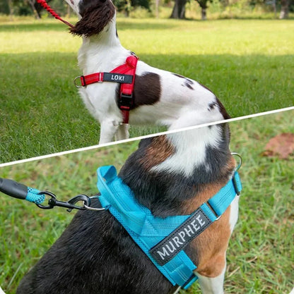 Reflective Adjustable Dog Harness – Personalized Harness for Walking