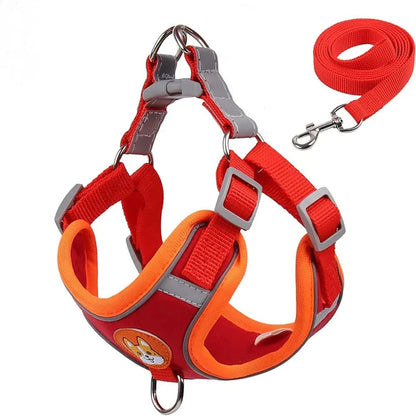 Reflective Dog Harness – Comfortable Nylon Harness for Walking