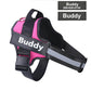 Adjustable Personalized Dog Harness Available For Dropshipping Worldwide Supply